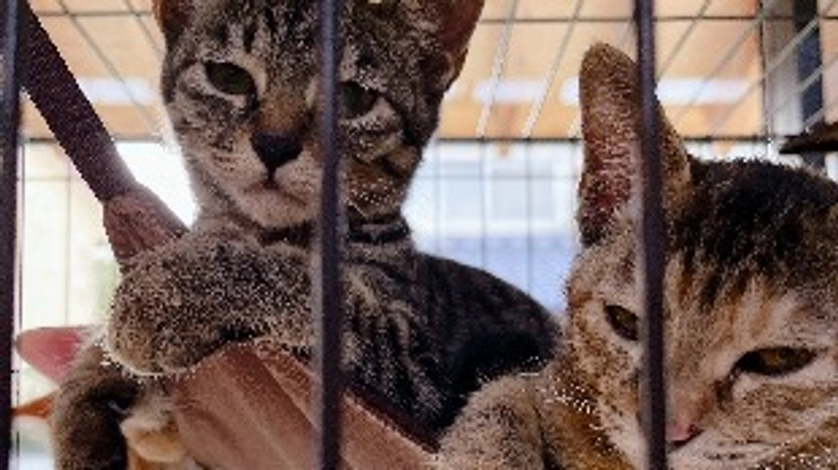 達成しました＾＾