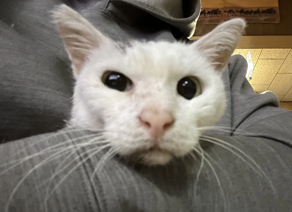 イクラくん頑張りましたが天国へ🌈