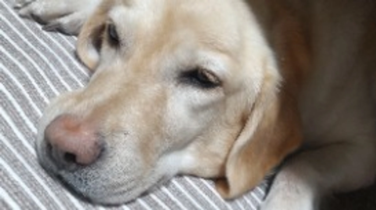 ちょっと心配です