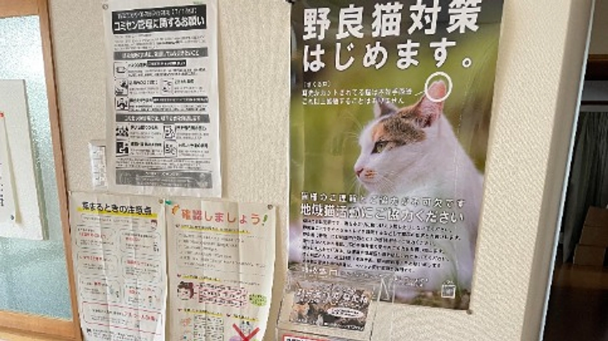 地域限定　自治会館内に「地域猫コーナー」を設置！