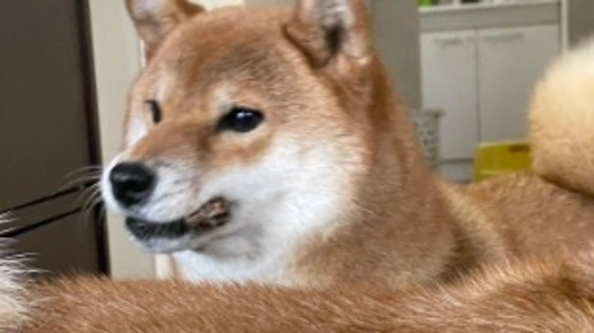 みんなでのびのびと