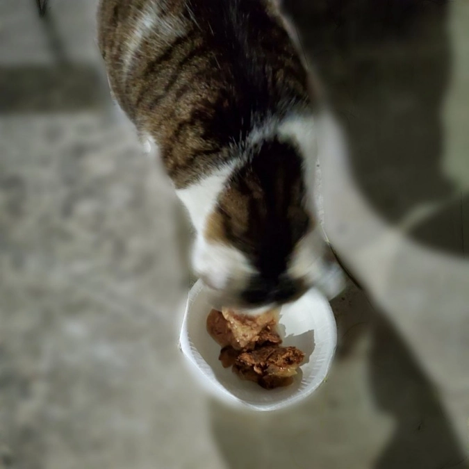 こんばんは。今夜は寒いですね🍃