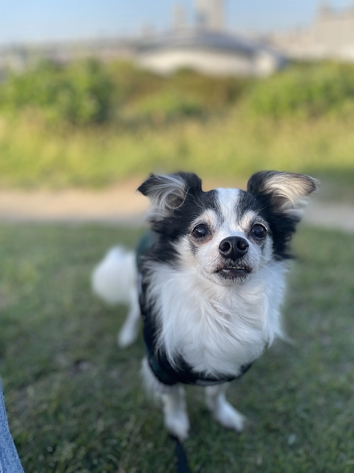 全国のアランのママ達へ💐母の日ありがとう