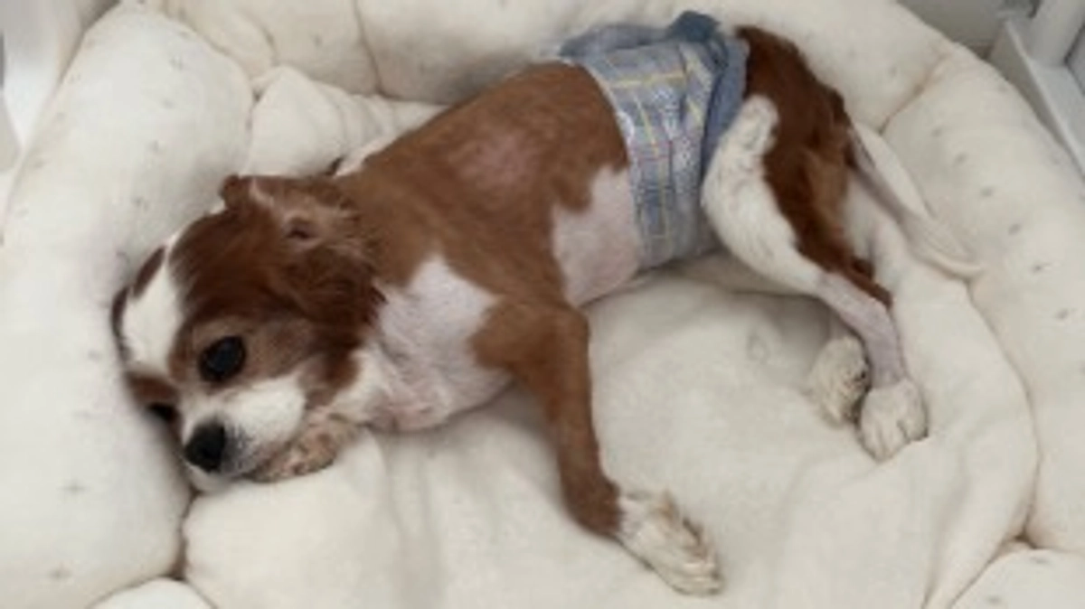 退院4日目。無事家族みんなで新年を迎える事ができました🌅