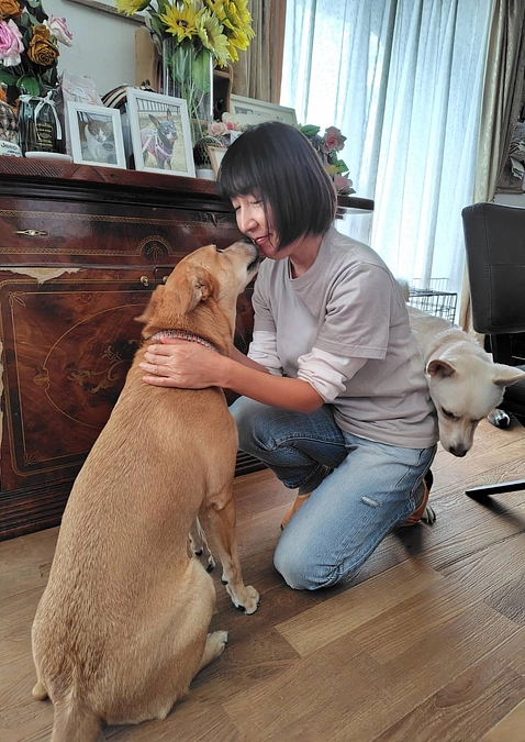 ついに600万円突破。感謝の気持ちでいっぱいです。ボランティアの胸のうち　犬にリスペクトの気持ち