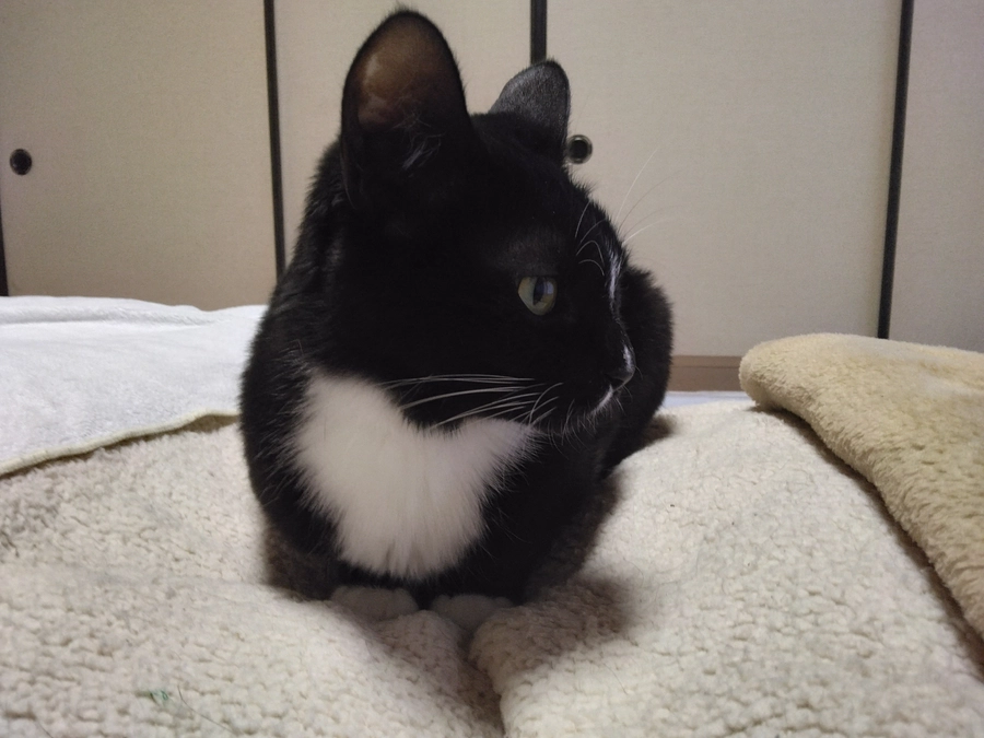 3/14はなちゃんの様子