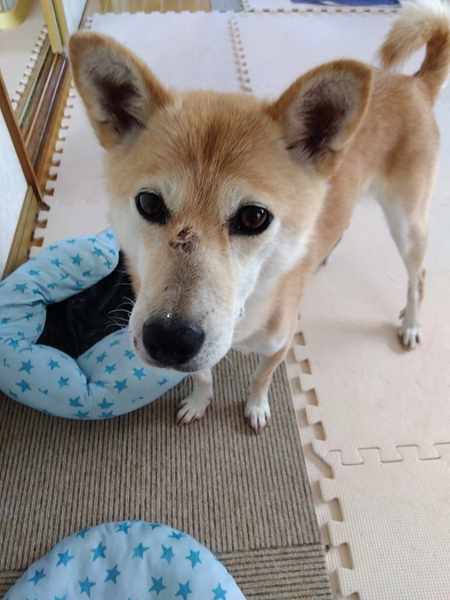 アリスちゃん。