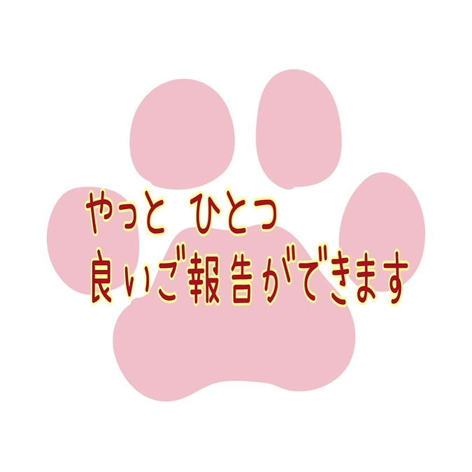 やっと、ひとつ良いご報告ができます