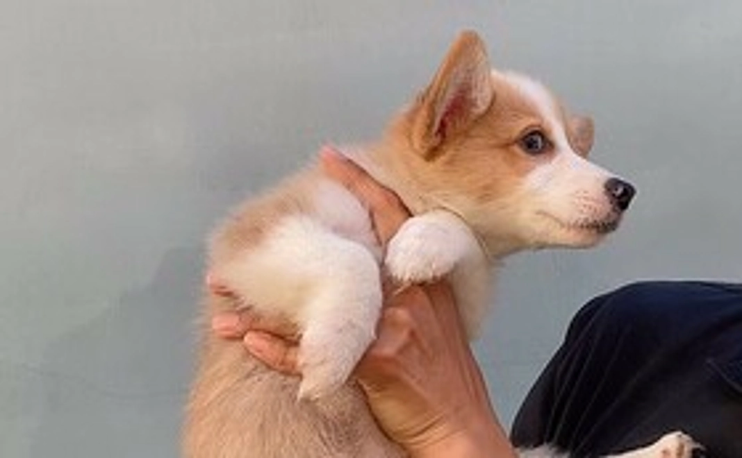 【3,000円】お気持ちコース