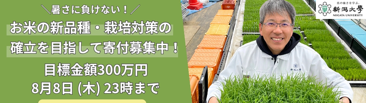 新潟大学のサイトにも私たちのプロジェクト紹介していただきました！