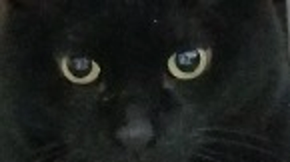 金曜日音病院行ってきました。