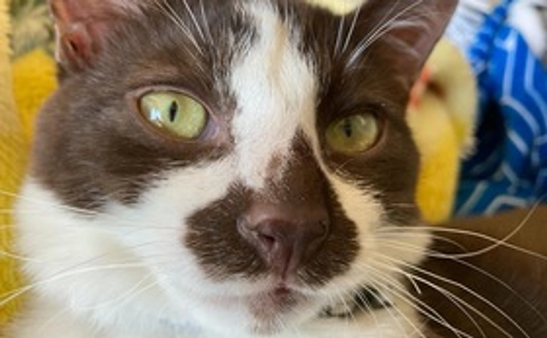 くじら500円支援コース