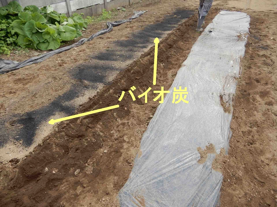 2024年４月29日　バイオ炭を畑に施用しました