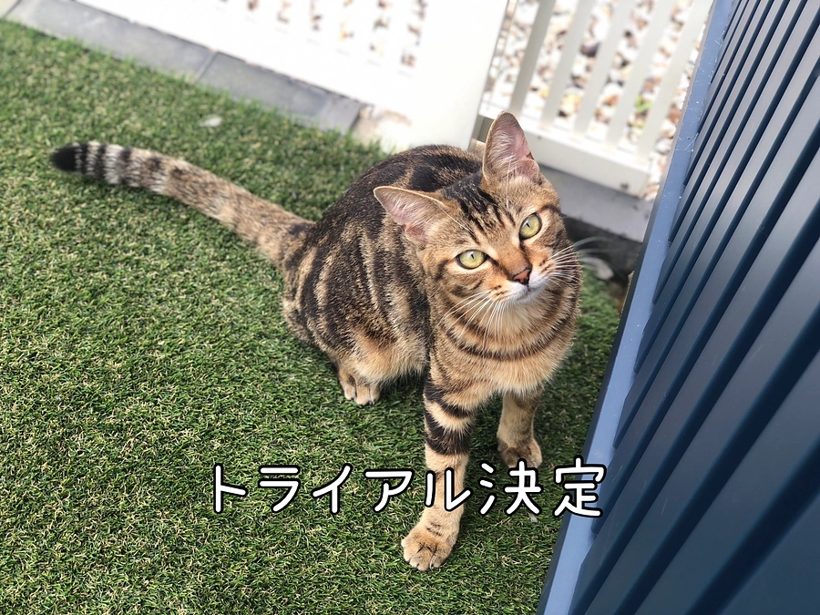 ずっとのお家がどんどん決まり心から感謝しております