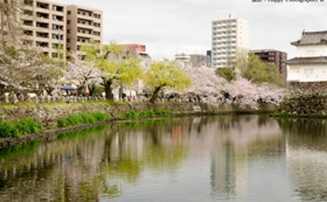 美しい写真が楽しめるフォトブック