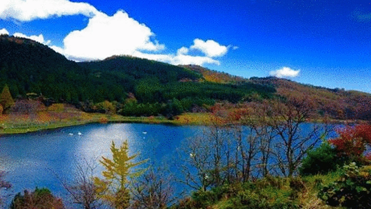 闘病生活にも希望を!美しい写真を寄贈し患者の心を癒やしたい!