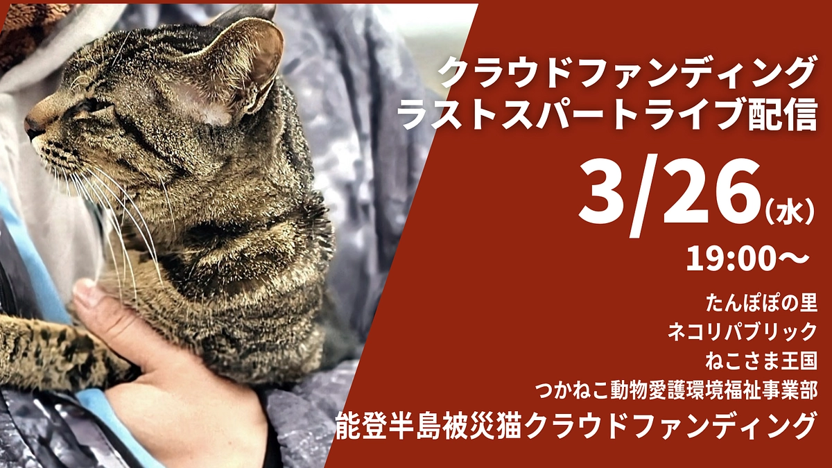 【3/26（水）19時~予定！緊急生配信】能登被災猫の現状や、私たち皆でやるべきことをお話しします