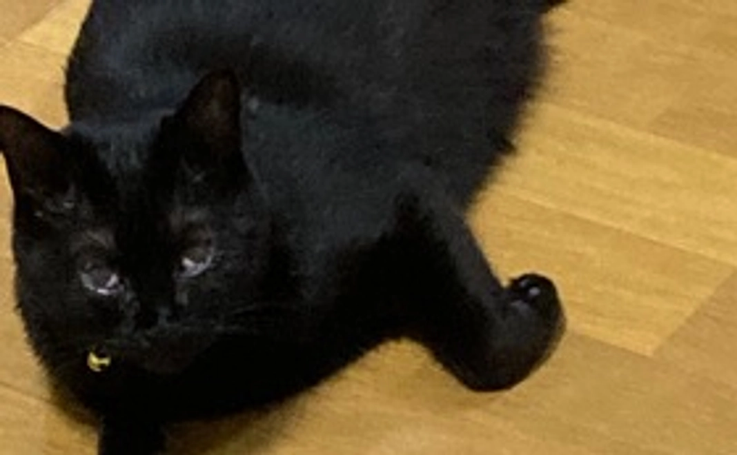 ①写真と感謝のメール