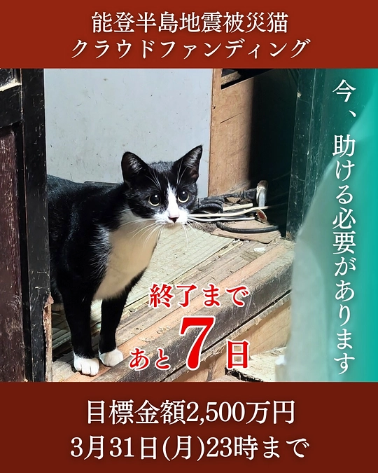 【クラウドファンディング 残り7日！】おかげさまで小さな光が見えてきたと思っています