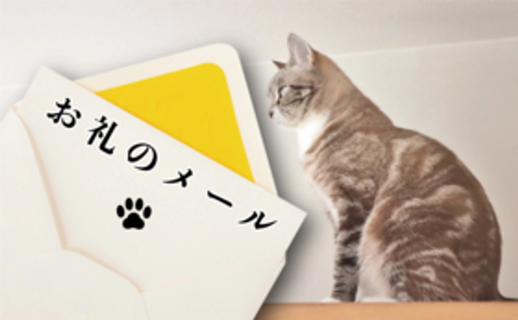 3000円|お礼のメール