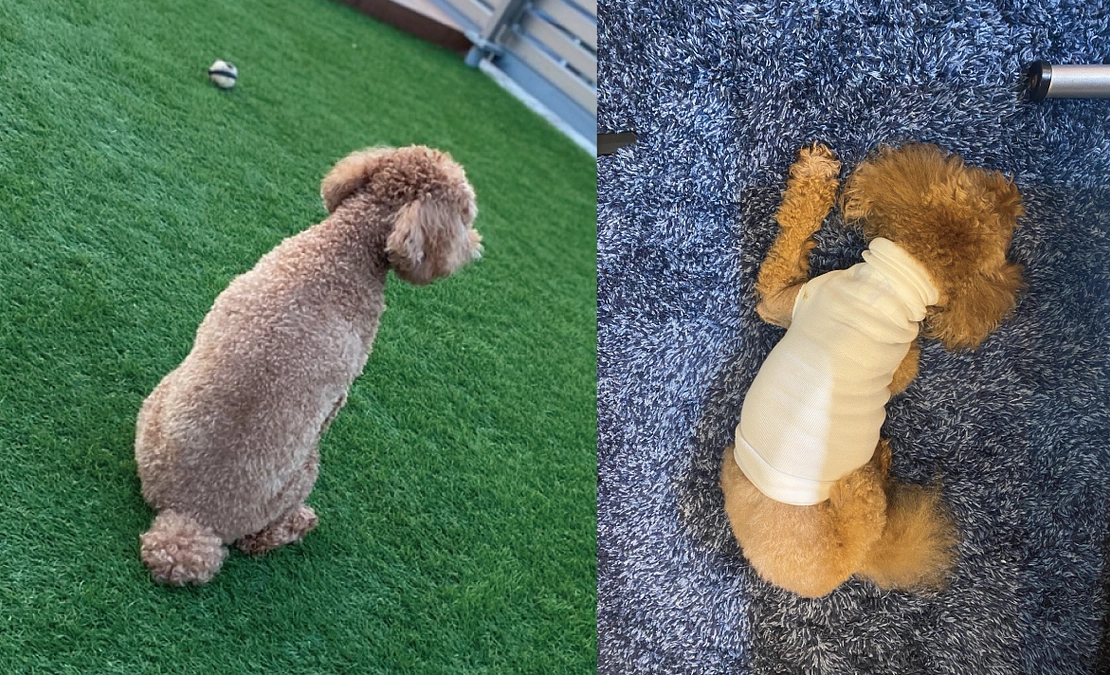 手術後の自宅療養の様子！