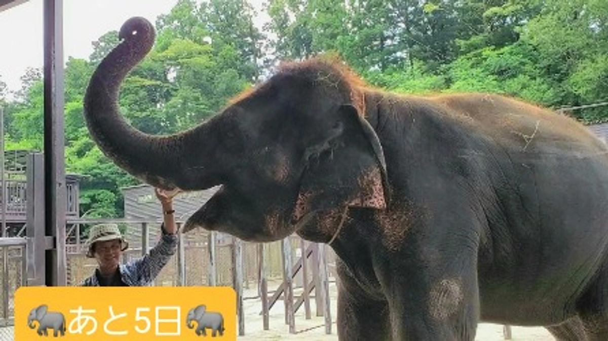 スタッフからのメッセージ☆最終日まであと5日☆