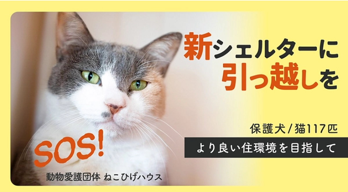 12/22までのねこひげハウスさんのクラウドファンディングを応援しています！