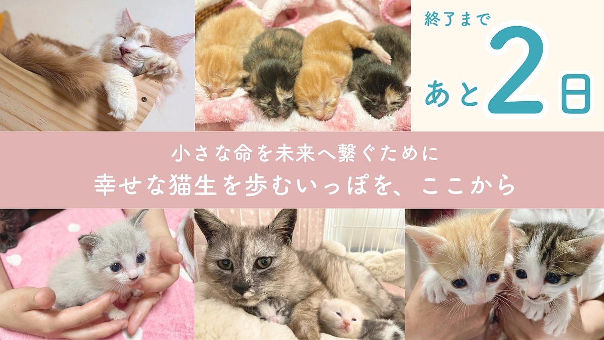 終了まで残り2日！最後の最後まで、希望を繋ぐために。