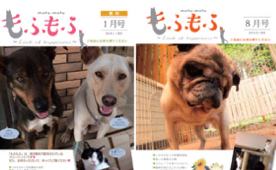 【6千円】もふもふサポーター