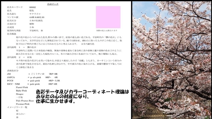 日本の色彩文化を色彩データで、色彩調和理論として世界に発信したい。