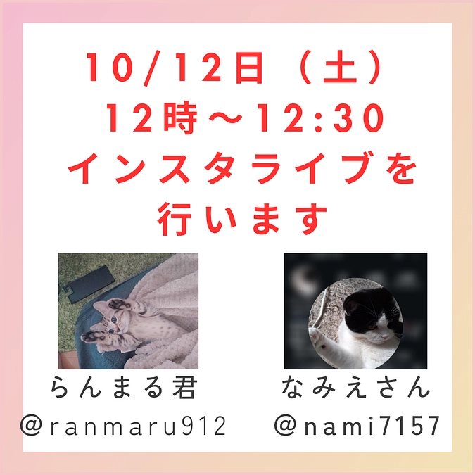 インスタライブを行います。