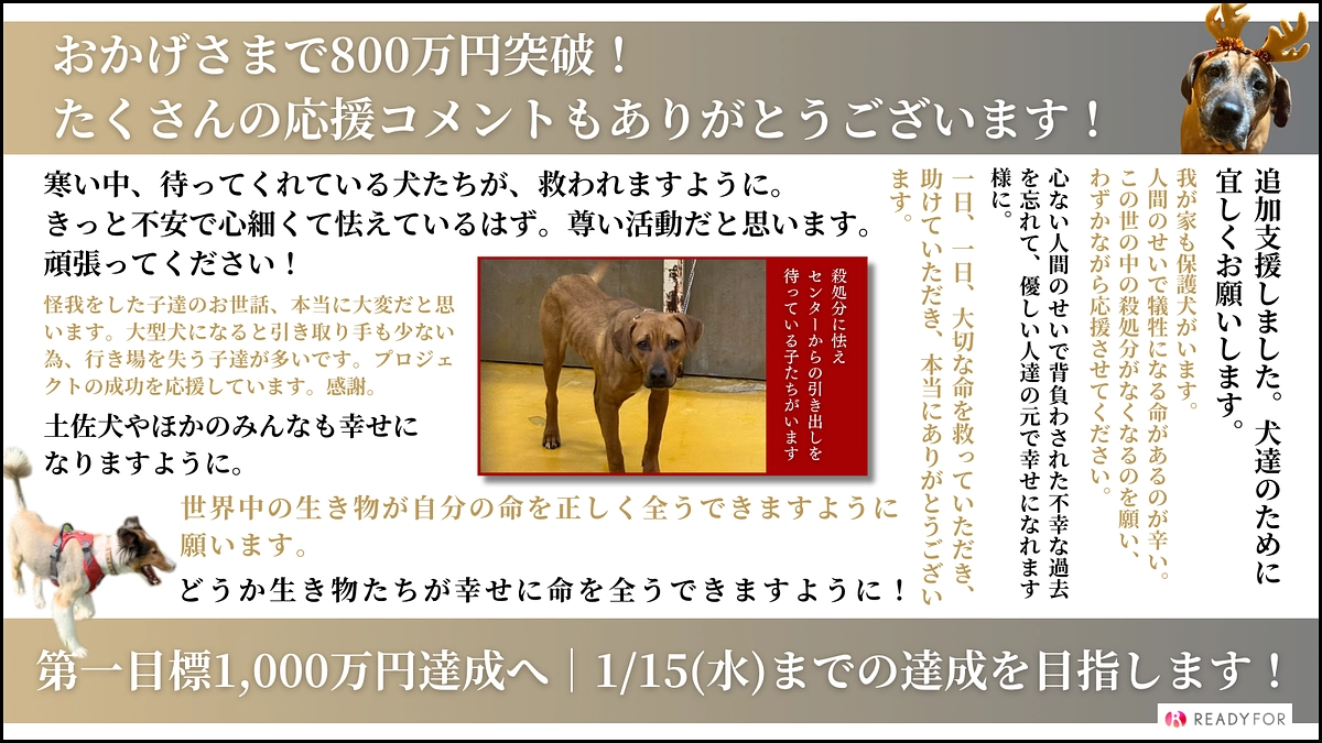 おかげさまで1,000万円の80%、800万円を突破しました！
