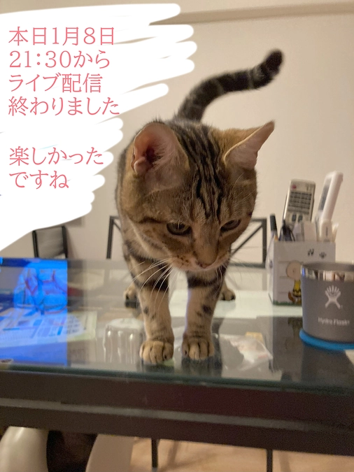 インスタライブ終了！　楽しかったですね