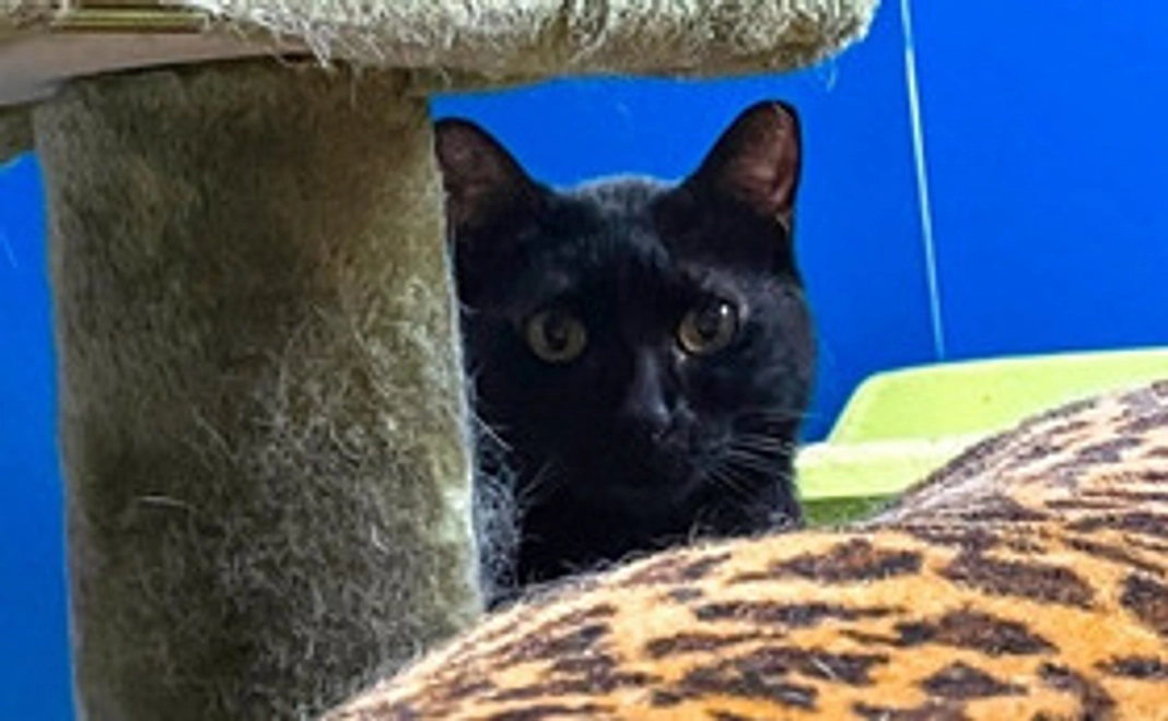 ★ 毎月応援 3000円コース