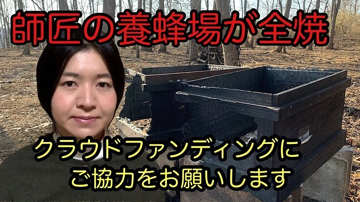 山火事で師匠の蜂場が全焼。養蜂場を復活させ、恩返しがしたい！