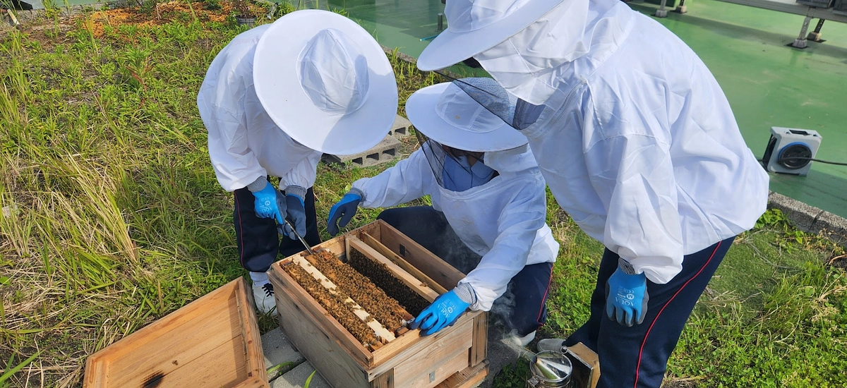 静岡雙葉高等学校 みつばちプロジェクト