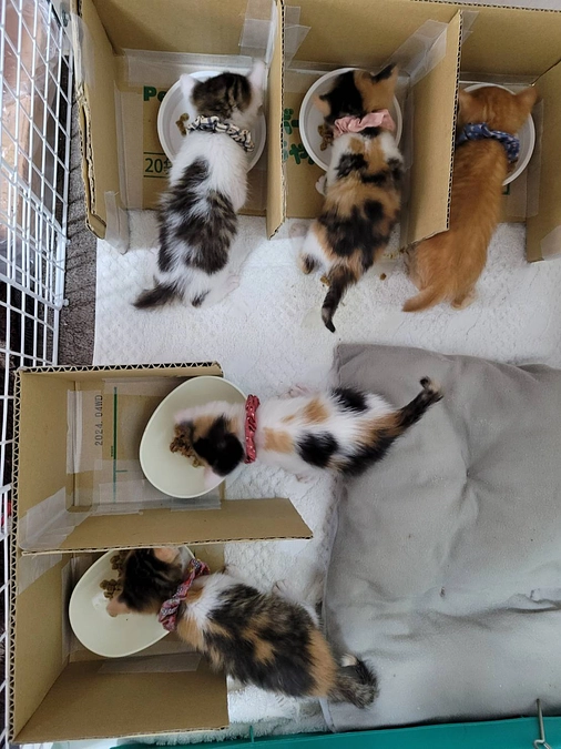 残り【3日】となりました！