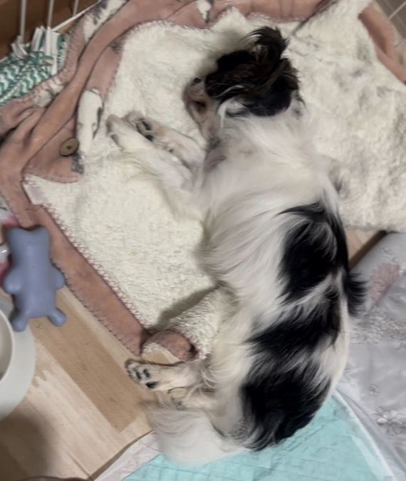 すやすや寝んね🌙