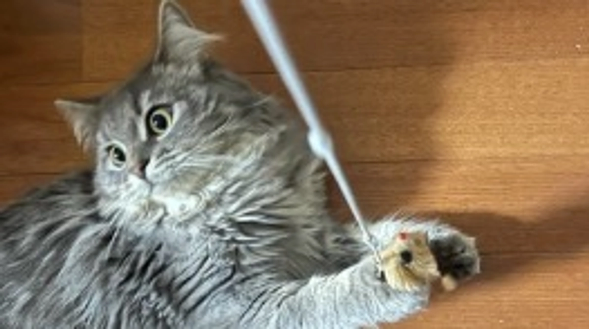 9/27  闘病31日目