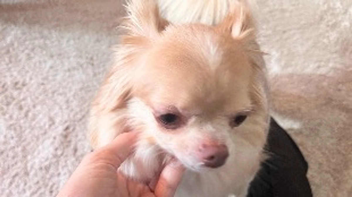 感謝でいっぱいです