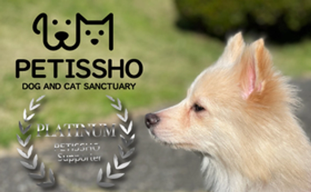 ペティッショ プラチナサポーター