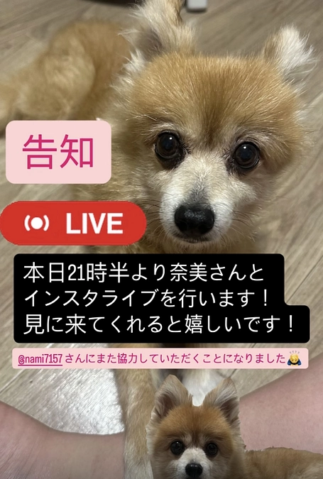 本日21時半よりインスタライブ開催します