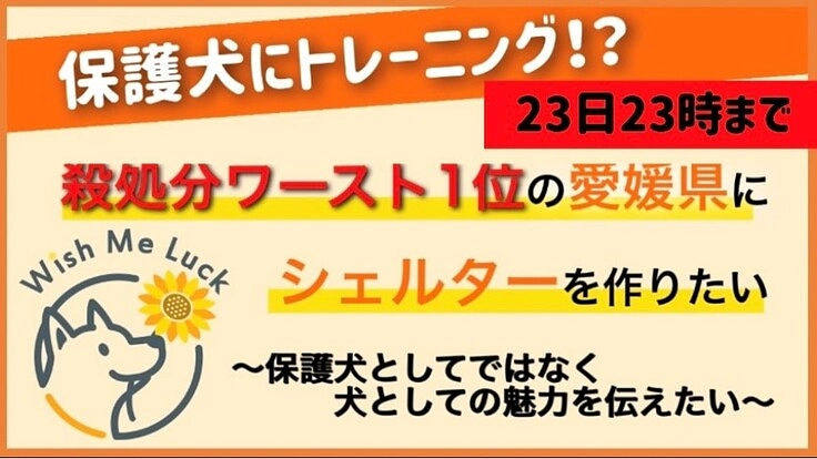 殺処分数ワースト1位の愛媛県に動物保護施設を作りたい