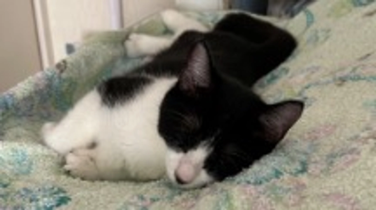 10月22日 〜 日常報告⑥ 〜保護から61日目