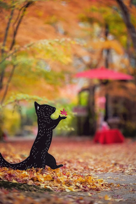 秋の境内の様子と再生を目指した杉の木