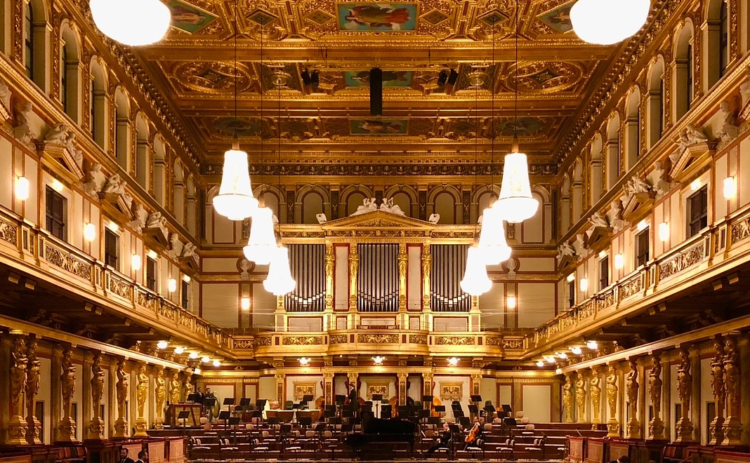 【最上級VIPコース A】ウィーン楽友協会での名門オーケストラコンサート、レオポルド美術館へご招待
