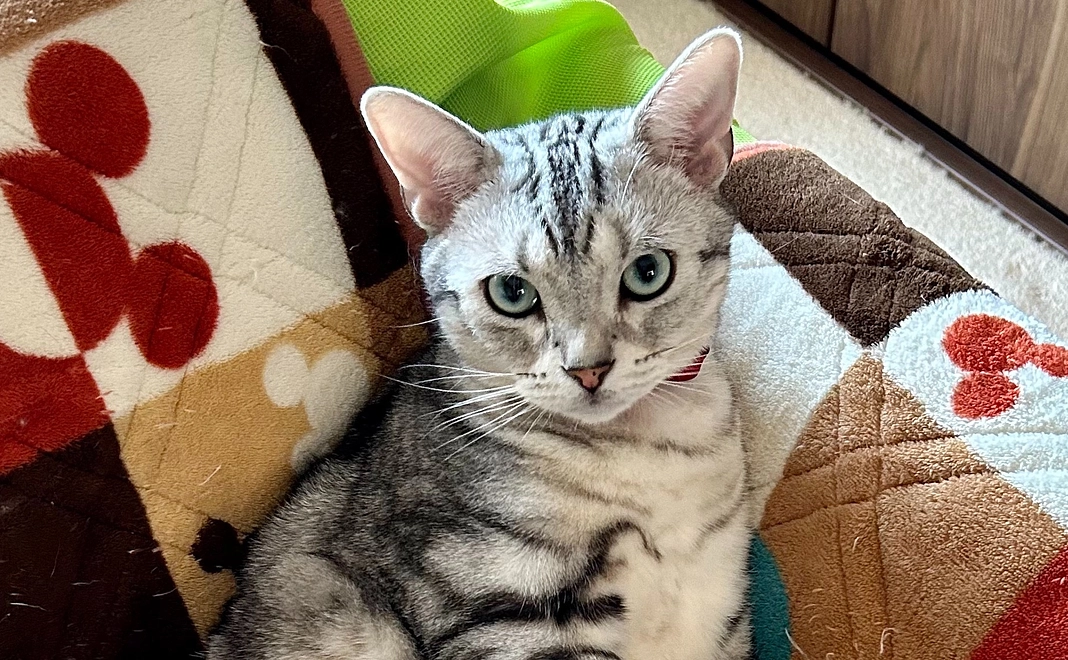 がんばれ!!琉依!! 2