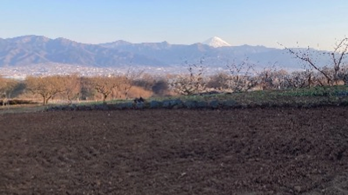 新たな圃場プロジェクト、始動しました！