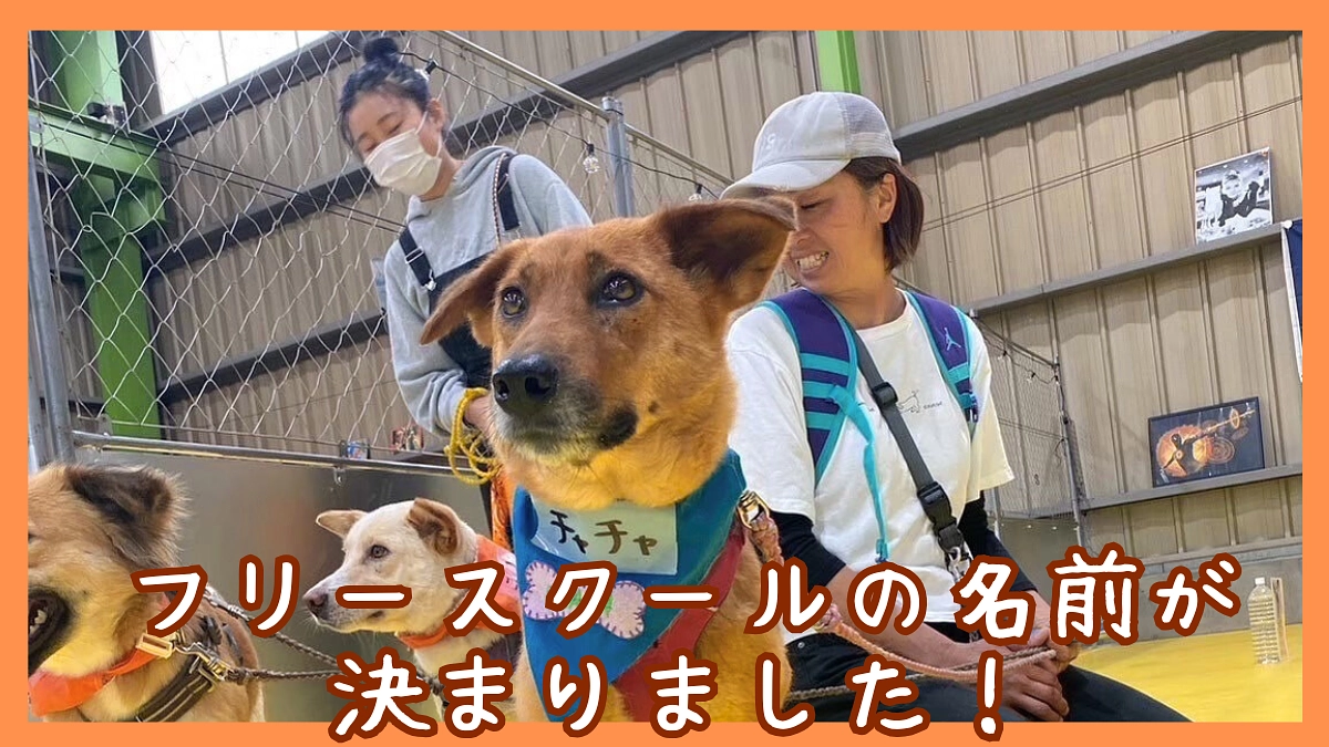 フリースクールの名前が決まりました！
