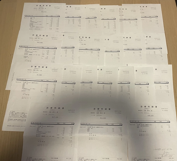 支援費の使用報告